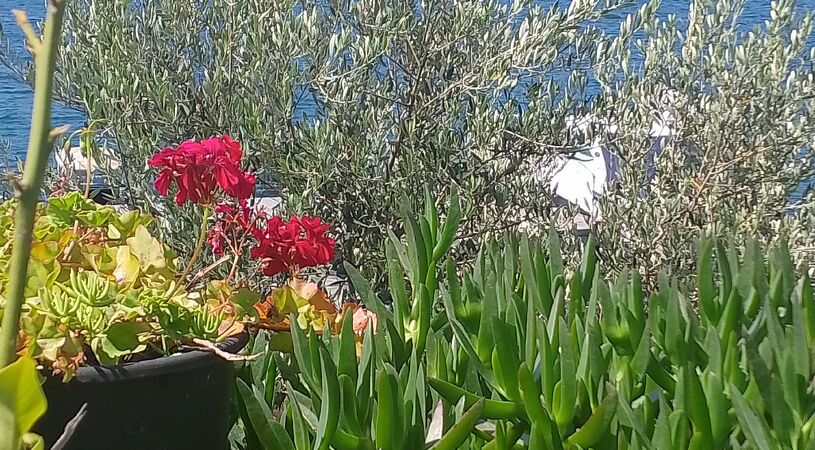Bodrum Çökertme Butik Otel